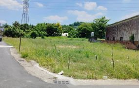 仁武 成功路雙面路 都內農地