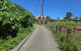 大寮都內美農地