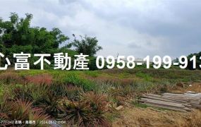 鳥松仁美都內小農地(單價甜甜)
