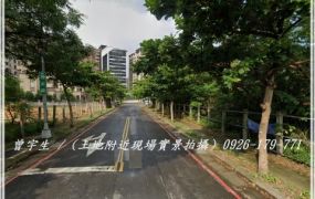 桃園高鐵【青埔國小】163坪12米路建地