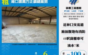 林口挑高方正鋼構廠房/L棟156