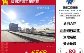 經國特區工業店地127