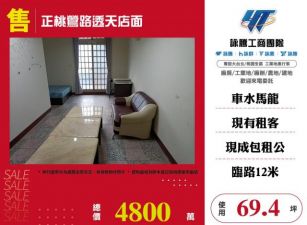 正桃鶯路透天店面