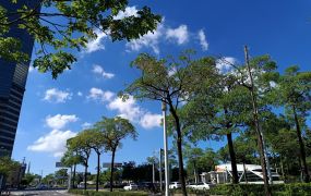 民權皇家DC樓中樓典雅大四房