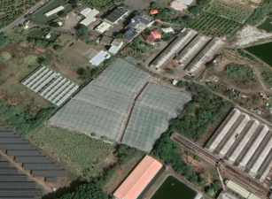 里港5298坪優質大片農地