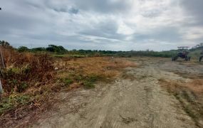 大樹530坪丙建農地