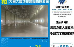 大園大腹地挑高鋼構倉庫廠