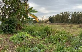 內壢交流道旁農地/工業地廠房租賃買賣