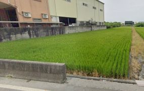 埔心正76旁美田