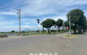 官田區 -  官田大路邊三角窗農地 - 1658萬