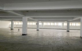 觀音工業區RC一樓廠房/工業地廠房買賣租賃