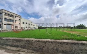 大甲黃金地段方正美農地