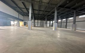 觀音台61/66挑高全新物流廠房