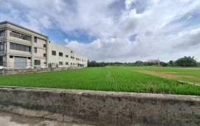 大甲黃金地段方正美農地