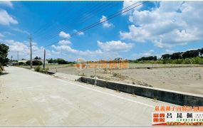 【獨賣】太保城一發展區都內農地 台灣阿魯米 嘉義建地農地
