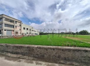大甲黃金地段方正美農地