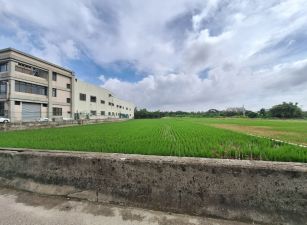 大甲黃金地段方正美農地