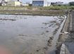 莿桐饒平農地