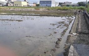 莿桐饒平農地