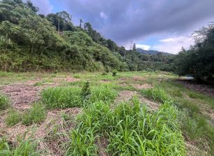 國姓愛山水特大平台地