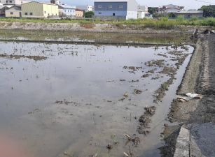 莿桐饒平農地