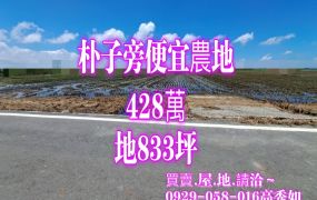 朴子旁便宜農地       $428萬