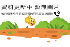 屏東崇蘭溫馨3房平車華廈