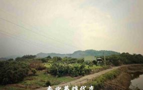 玉井區 -  玉井有電有水一般農地  - 750萬