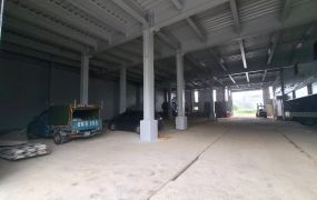 幼獅漂亮合法挑高廠房