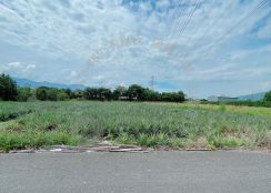 瑞穗溫泉區鳳梨田農地　B284
