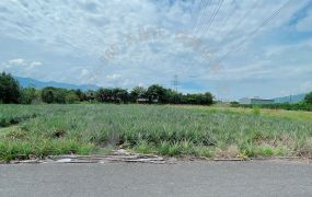 瑞穗溫泉區鳳梨田農地　B284