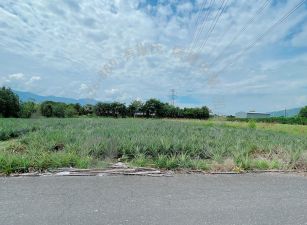 瑞穗溫泉區鳳梨田農地　B284