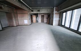 農十六華人匯鋼骨制震宅高樓景觀雙平車豪邸
