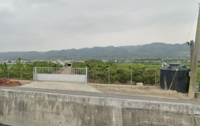 社頭社石小面積田