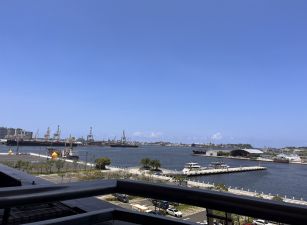 輕軌旅運中心站海洋帝國面海景3+1房平車