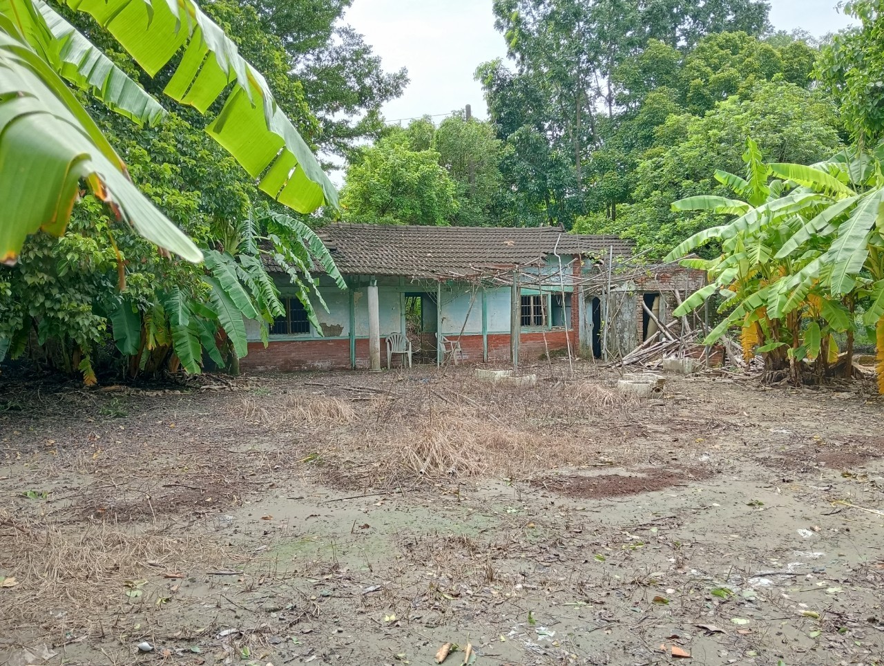 左鎮行政中心有建地平房有農地