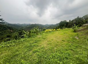 霧峰桐林春舍旁景觀地