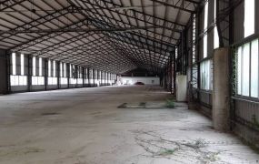 苑裡大地坪工業地廠房