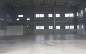 蘆竹獨棟/大腹地/挑高9米工業廠房