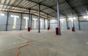 觀音工業區旁全新合法物流倉