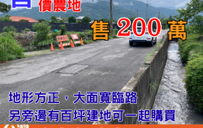 市369_台東市新園低總價農地
