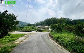 新竹縣峨嵋水流東平坦橘子園