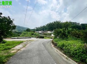 新竹縣峨嵋水流東平坦橘子園