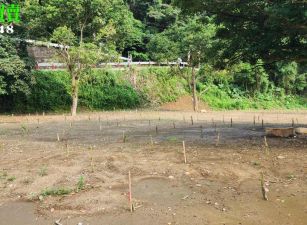 新竹縣芎林鄉鹿寮坑臨溪平坦農地