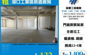 湖口工業區新造貨梯大電廠房120