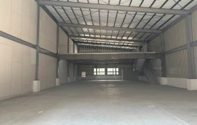 蔖洲市區正路邊大面寬燙金店面