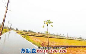 美濃重劃方正漂亮俗農地