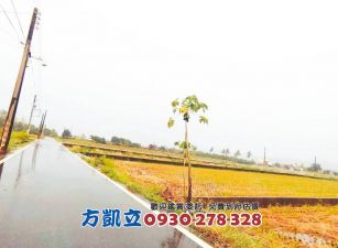 美濃重劃方正漂亮俗農地