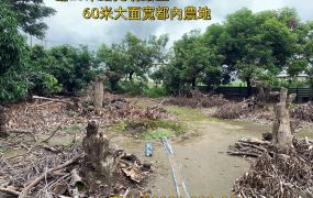 光明路上-大面寬都內農地