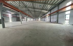 湖口挑高8.5米鋼構天車廠房